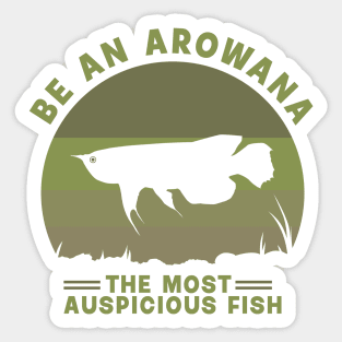 be an arowana or dragon fish Sticker
